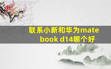 联系小新和华为matebook d14哪个好